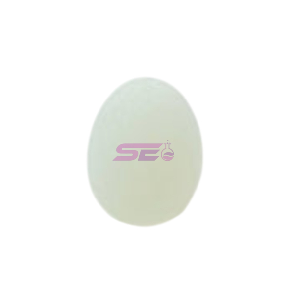 Sunset Egg